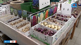 Будет ли весной сад утопать в цветах, расскажем в рубрике «Руки садовода» Будет ли весной сад утопать в цветах, расскажем в рубрике «Руки садовода»