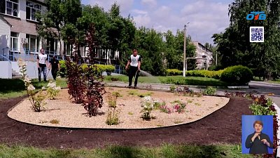 В Металлургическом районе высадили деревья