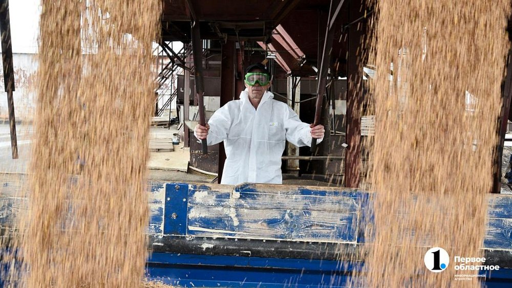 Аграрии Челябинской области намолотили 1,5 млн тонн зерна