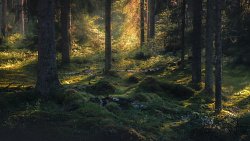 Педагог-фотограф медитирует над пейзажами Южного Урала