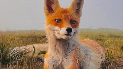 Педагог-фотограф медитирует над пейзажами Южного Урала