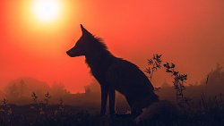 Педагог-фотограф медитирует над пейзажами Южного Урала