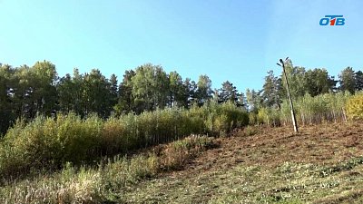 Хранитель Лысой горы вновь вышел на работу