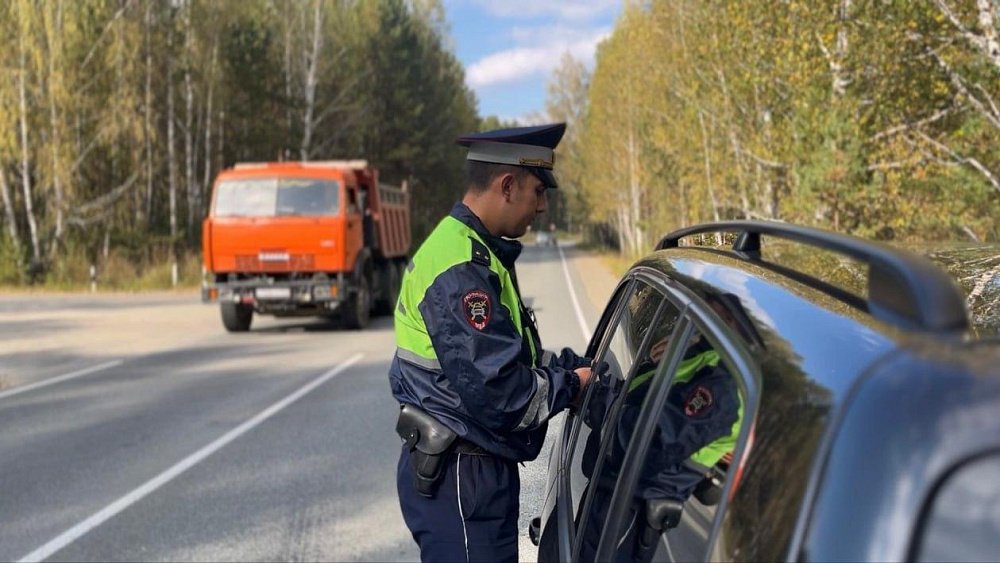 Свыше 2 тысяч нарушений выявили полицейские Челябинской области за сутки