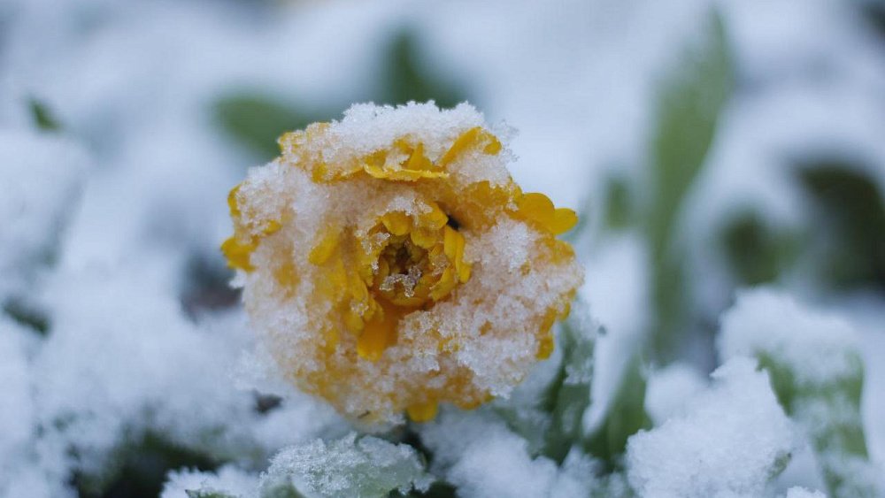 В Челябинскую область пришла зима в конце сентября