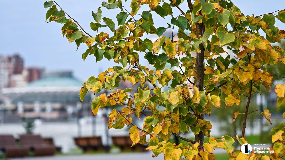 До +13 градусов потеплеет в Челябинской области в начале октября