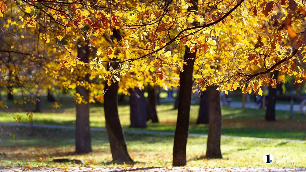 Октябрь‑2025 ожидается сухим в Челябинской области