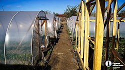 Молодая семья из Южноуральска построила «вкусный» бизнес на 20 тысячах кустов клубники