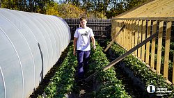 Молодая семья из Южноуральска построила «вкусный» бизнес на 20 тысячах кустов клубники