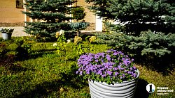 Молодая семья из Южноуральска построила «вкусный» бизнес на 20 тысячах кустов клубники