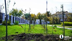 Молодая семья из Южноуральска построила «вкусный» бизнес на 20 тысячах кустов клубники