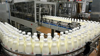 Молокозаводам Челябинской области компенсируют затраты на маркировку продукции