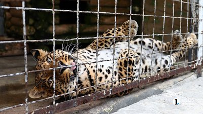 С 1 октября челябинский зоопарк будет закрываться на 2 часа раньше