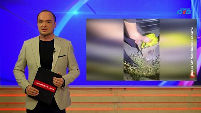 В Троицке сотрудники ГАИ нашли у молодого водителя наркотики