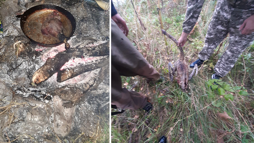 В Нязепетровском округе браконьер пожарил и съел лебедя