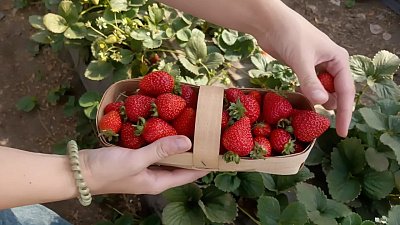 Молодая семья из Южноуральска рассказала, как построить бизнес в маленьком городе