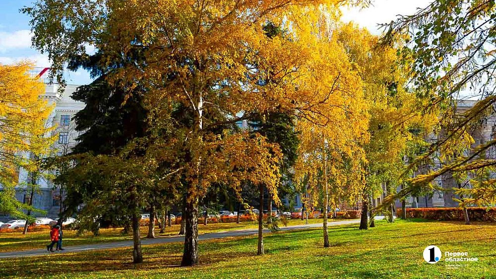 Осадки в Челябинской области прекратятся 2 октября