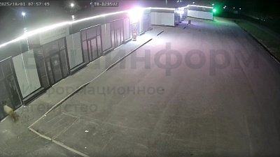 В Башкирии ищут барана, который разбил стекла магазина