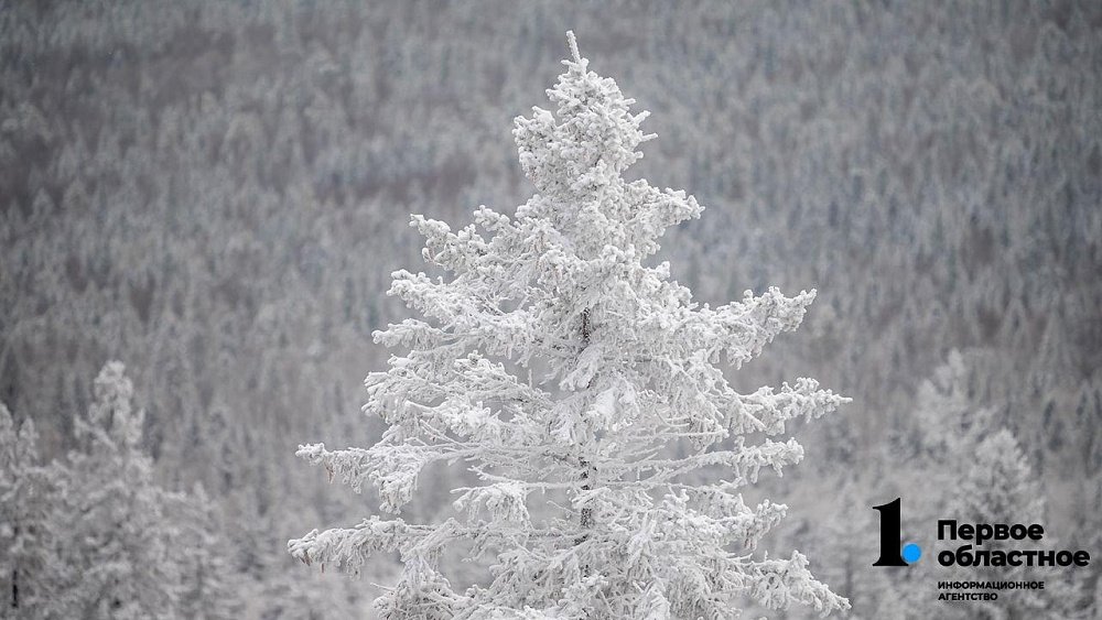 В Гидрометцентре России пообещали холодную зиму для Южного Урала