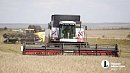 Аграрии Челябинской области стали чаще страховать посевы Аграрии Челябинской области стали чаще страховать посевы