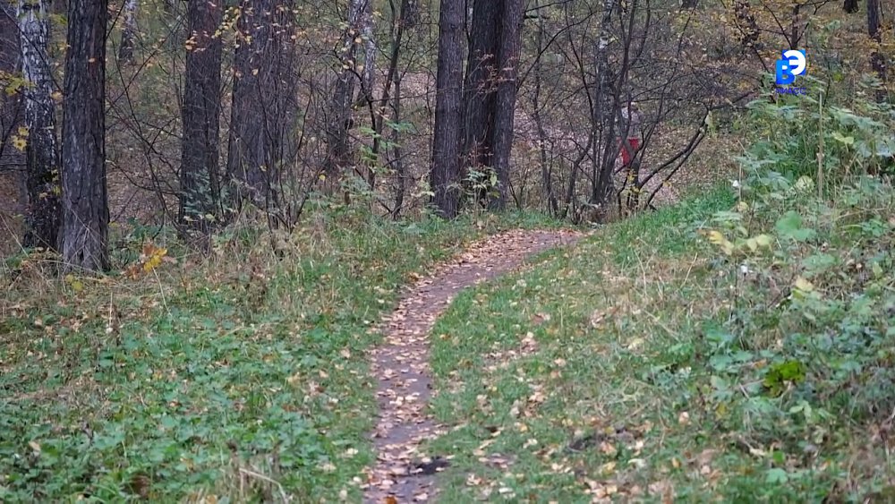 В поселке Строителей планируется открытие новой экологической тропы «Ильменский лес»