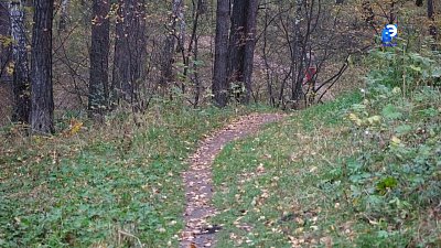 В поселке Строителей планируется открытие новой экологической тропы «Ильменский лес»