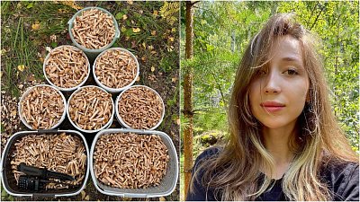 Жительница Южного Урала собирает за сезон сотни литров грибов