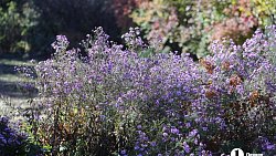 В Челябинской области зарыбят Зюраткуль и модернизируют энергосистемы на Таганае