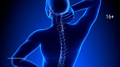 Как предотвратить развитие остеопороза?