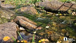 Рекордное количество туристов посетит нацпарк «Таганай» в 2025 году