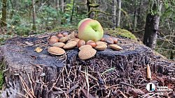 Рекордное количество туристов посетит нацпарк «Таганай» в 2025 году