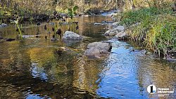 Рекордное количество туристов посетит нацпарк «Таганай» в 2025 году