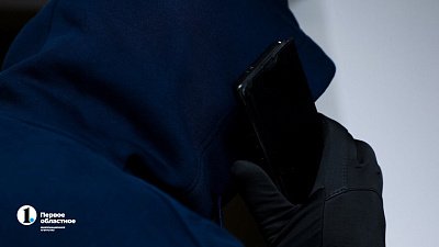 В Челябинске средний ущерб от мошенников достиг 590 тысяч рублей