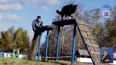 В Копейске завершаются соревнования по многоборью специалистов-кинологов