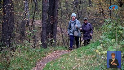В Миассе появится экотропа «Ильменский лес»