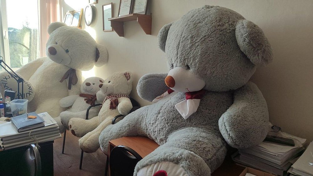 В Златоусте двое парней потратили украденный миллион на плюшевых медведей и одежду