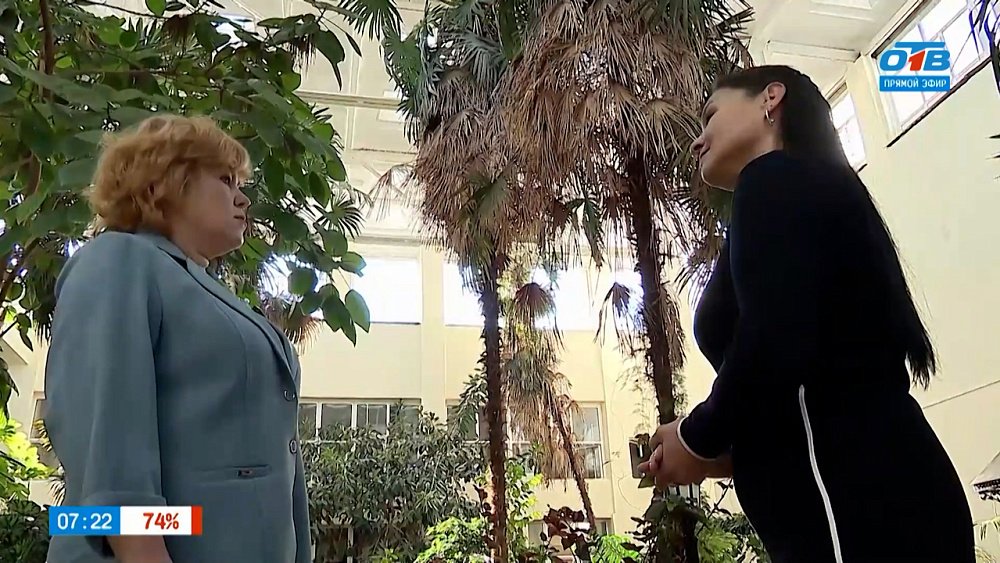 Тропический уголок в сюжете «Зимний сад в Каслях»