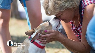 В Челябинске спрос на услуги зоонянь вырос на 77%