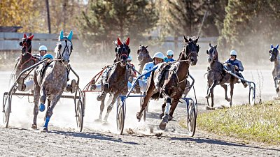 Южноуральцы завоевали призы на конноспортивных соревнованиях в Кургане