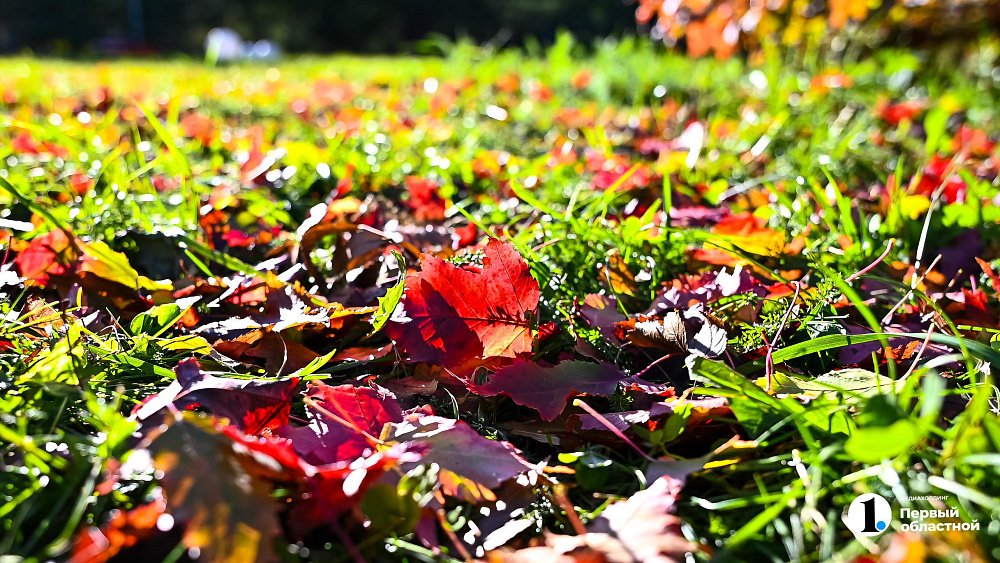Перепад ночных и дневных температур достигнет 30 градусов на Южном Урале 8 октября