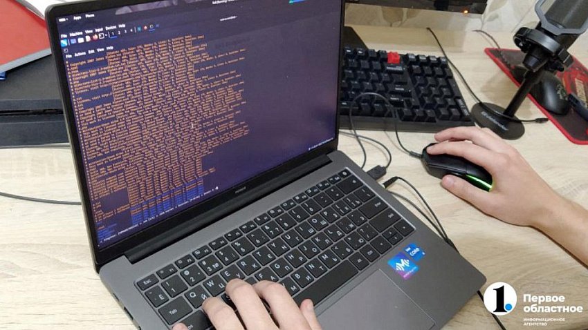 В Челябинской области фиксируют высокую активность киберпреступников