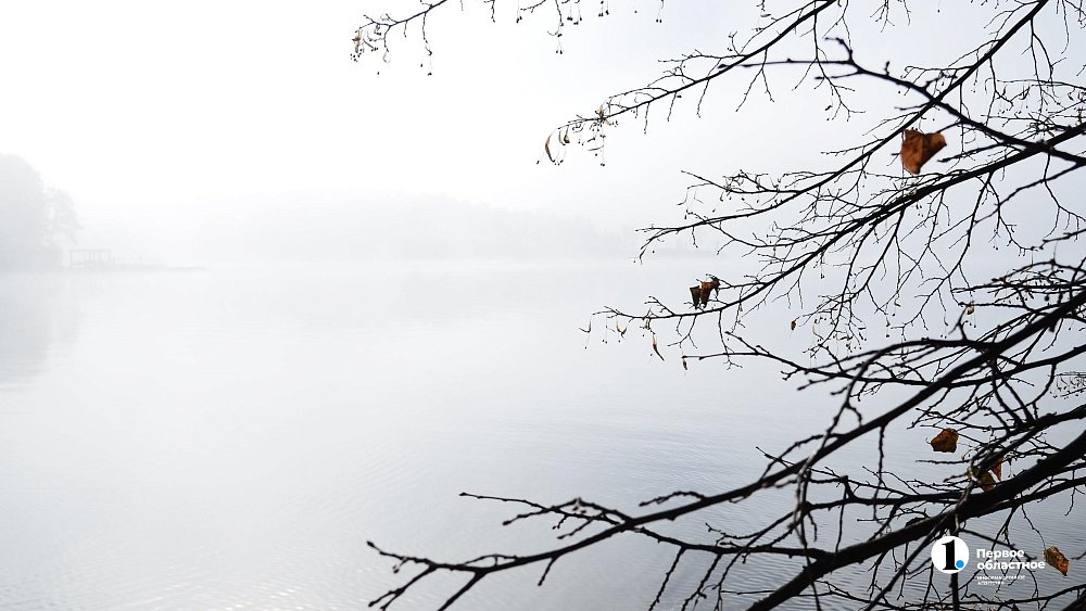 Челябинскую область окутают утренние туманы 8 октября