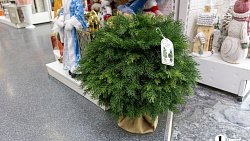 В челябинских магазинах в начале октября выложили новогодние украшения