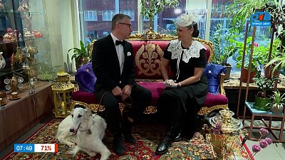 Светский прием для борзых в рубрике «Усы, лапы и хвост»