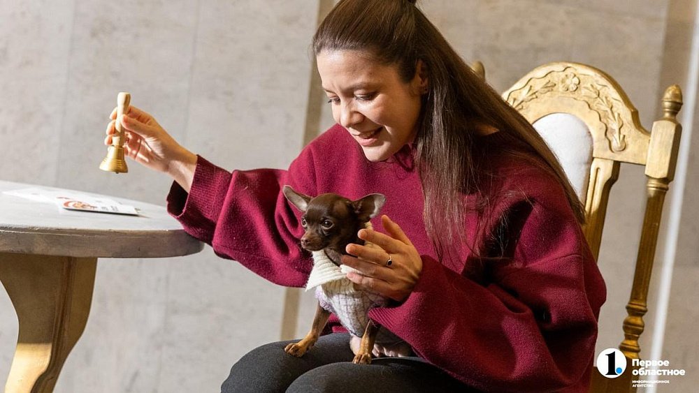 «Пушистый» кастинг на роль в «Доходном месте» прошел в Челябинском драмтеатре