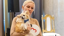 «Пушистый» кастинг на роль в «Доходном месте» прошел в Челябинском драмтеатре