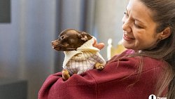 «Пушистый» кастинг на роль в «Доходном месте» прошел в Челябинском драмтеатре