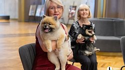 «Пушистый» кастинг на роль в «Доходном месте» прошел в Челябинском драмтеатре