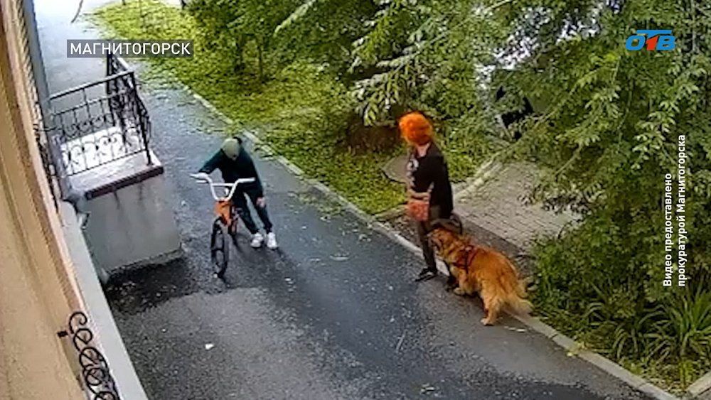 В Магнитогорске ребенку выплатили компенсацию за укус собаки