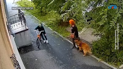 В Магнитогорске ребенку выплатили компенсацию за укус собаки